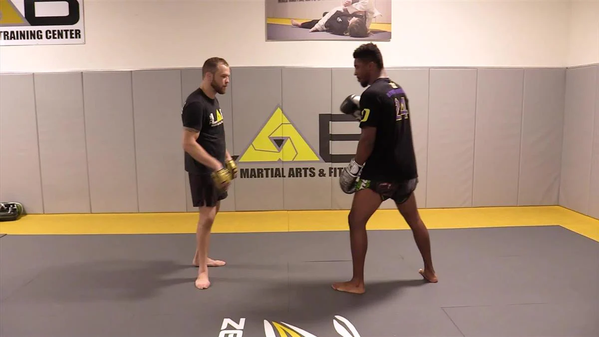 The 4 HR Comprehensive Padwork System by Randy Steinke - Image 7