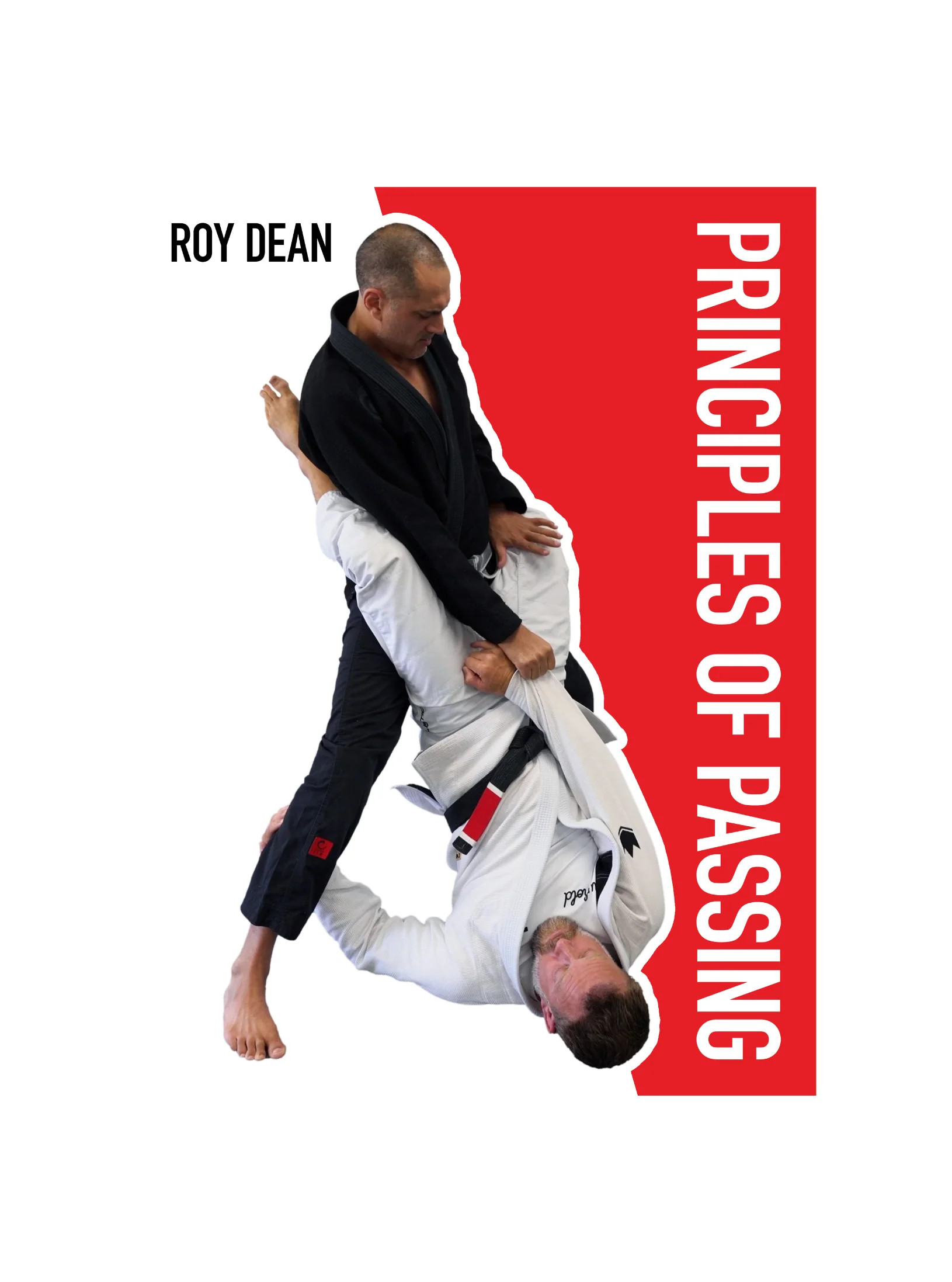 Pass Any Guard: The Principles of Passing by Roy Dean