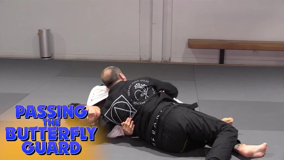 Passing The Butterfly Guard by Jason Hunt - Image 3
