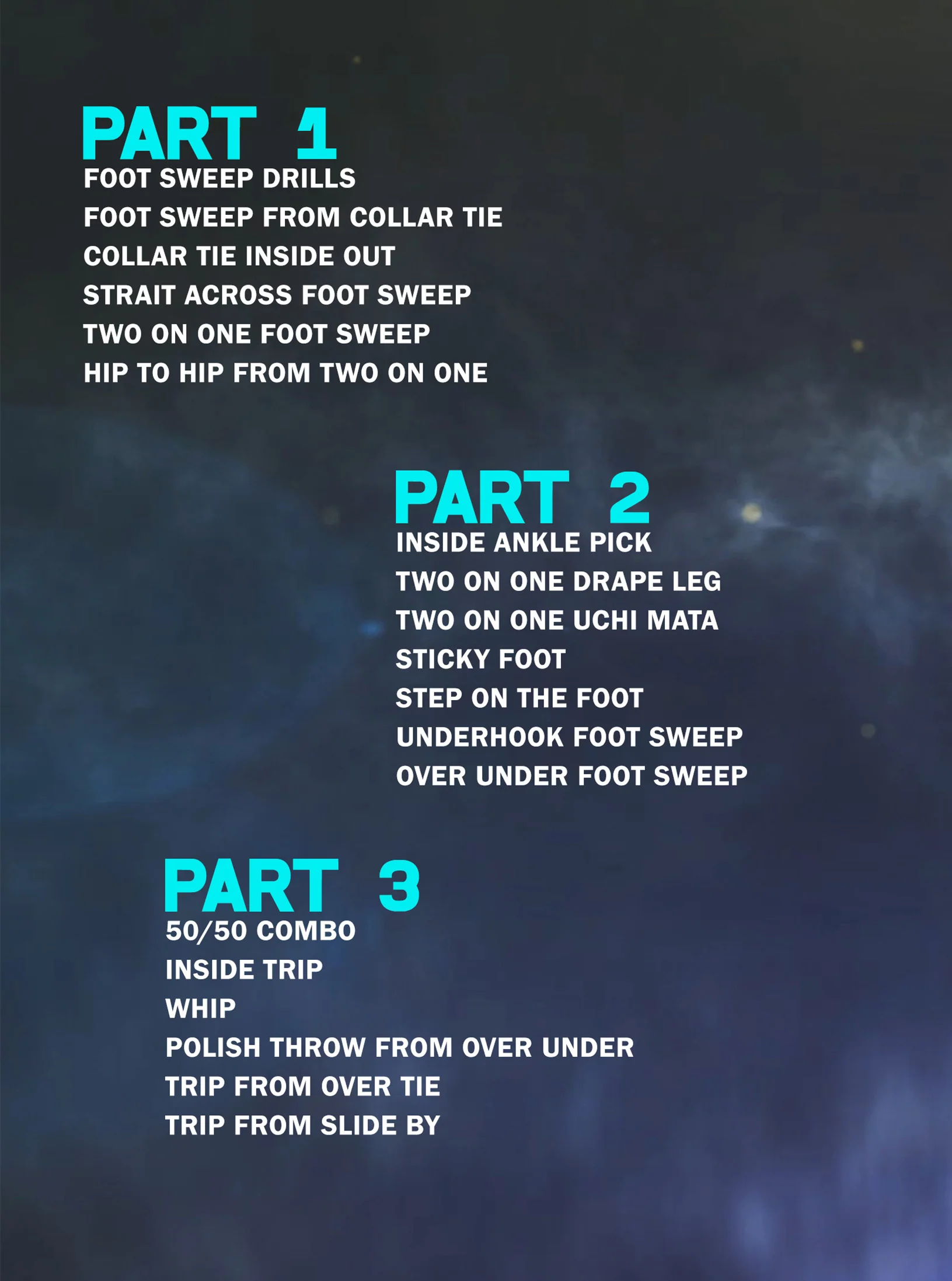 Precision Foot Sweeps by Steve Mocco - Image 2