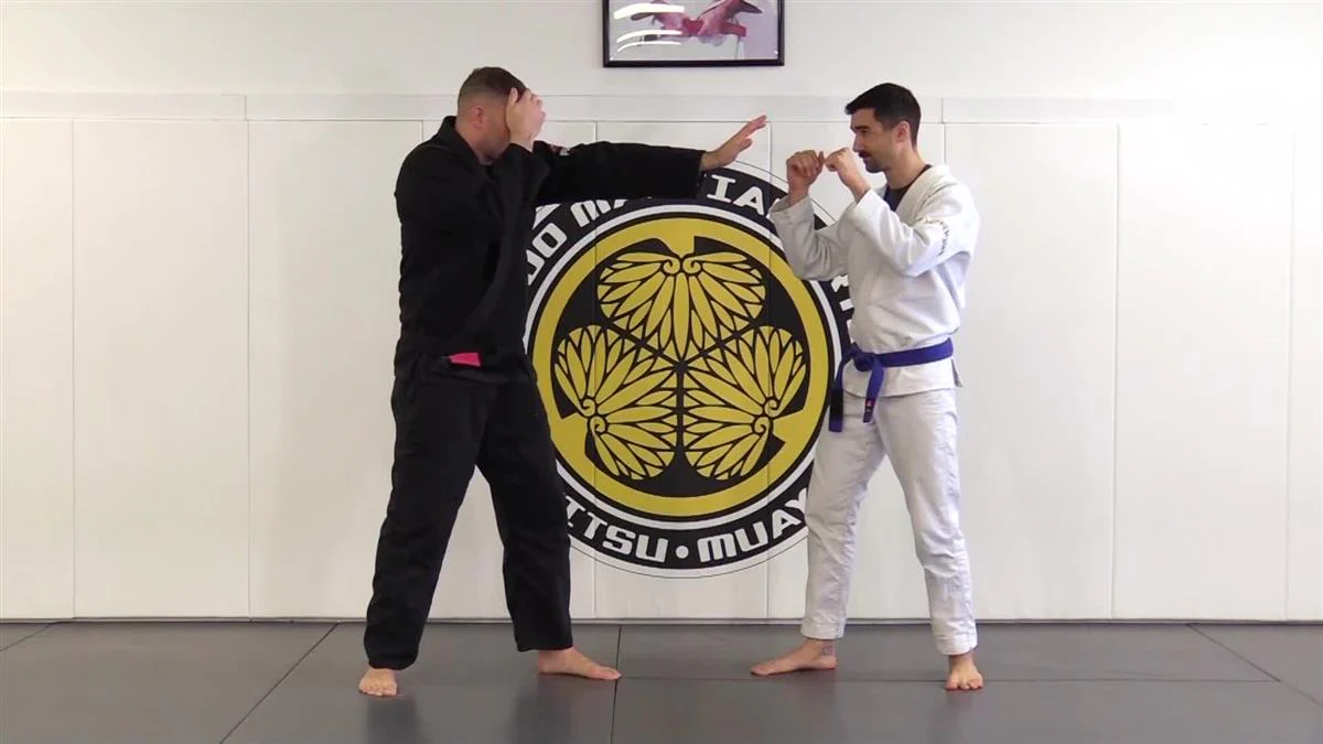 Punch Block Defense For BJJ by Charlie Vinch - Image 4