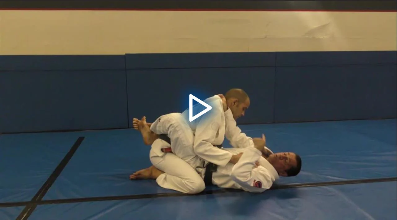 Pure Jiu Jitsu by Luis Heredia - Image 4