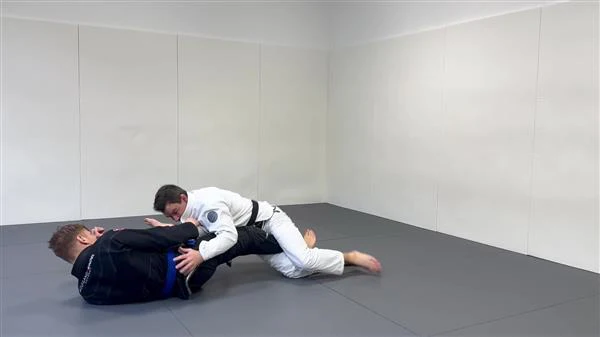 Quarter Outside Guard System by Wolfgang Heindel - Image 3