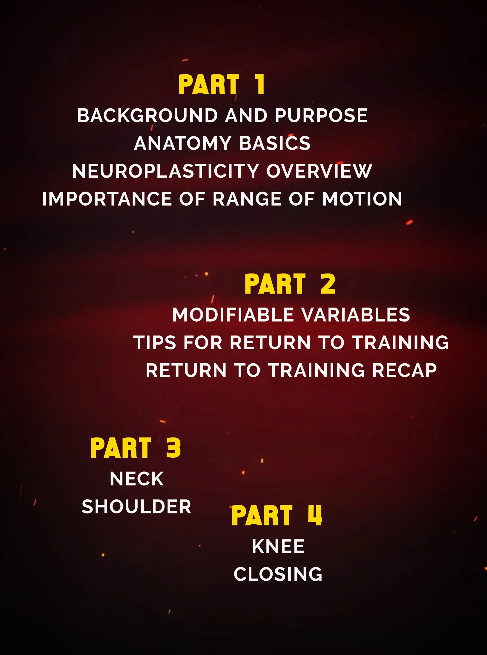 Returning to The Mat Principles & Other Injury Prevention Concepts by Michael Mitri - Image 2