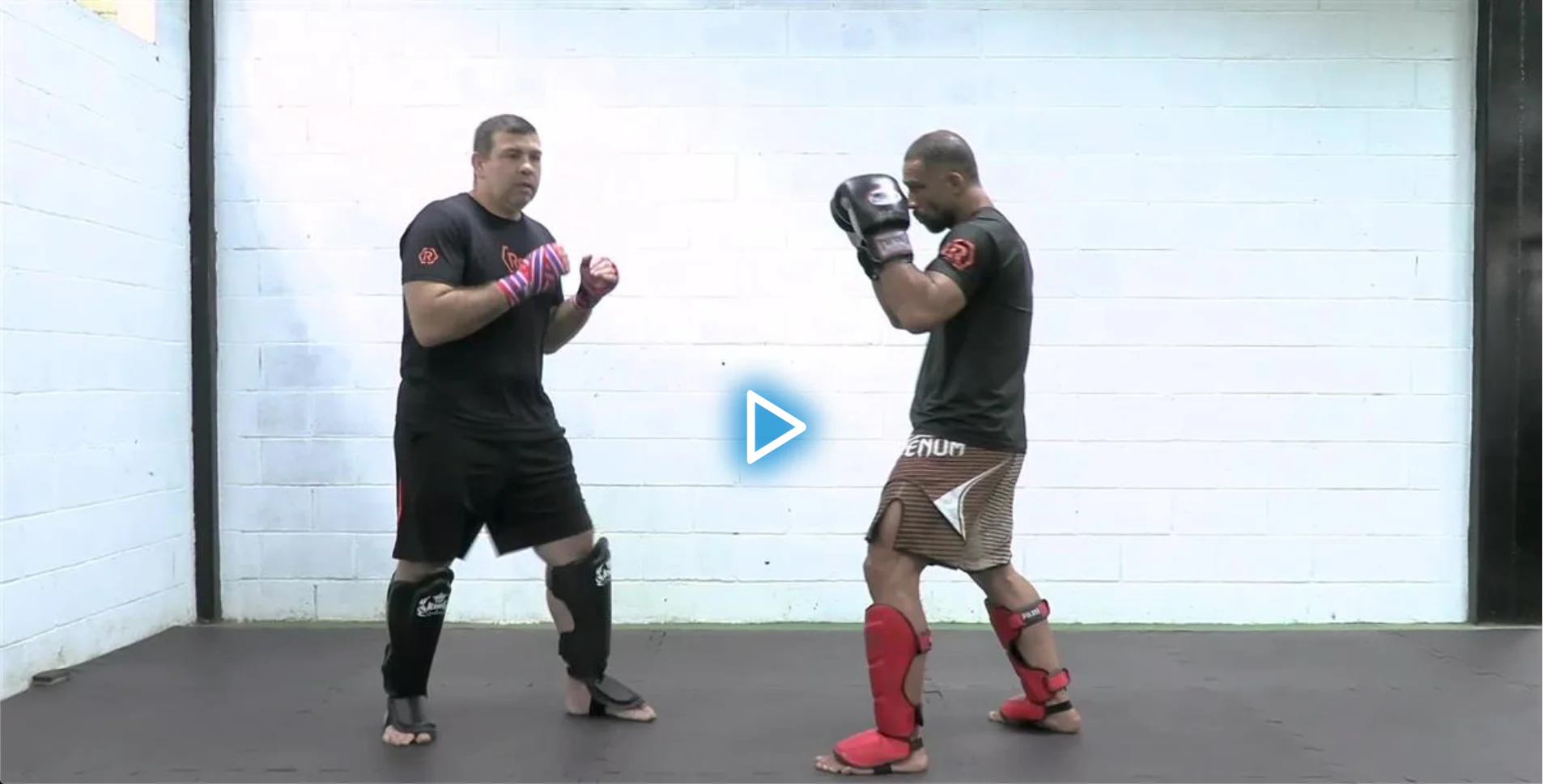 Safe And Savage Leg Kicks by Pedro Rizzo - Image 4