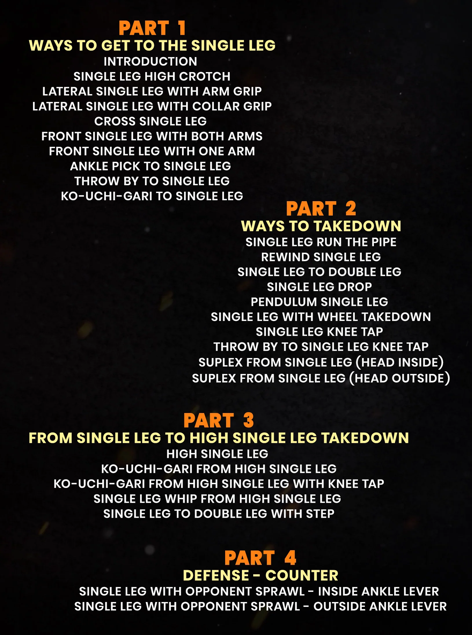 Secrets of The Single Leg by Joao Nicolite - Image 2