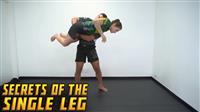 Secrets of The Single Leg by Joao Nicolite - Image 3
