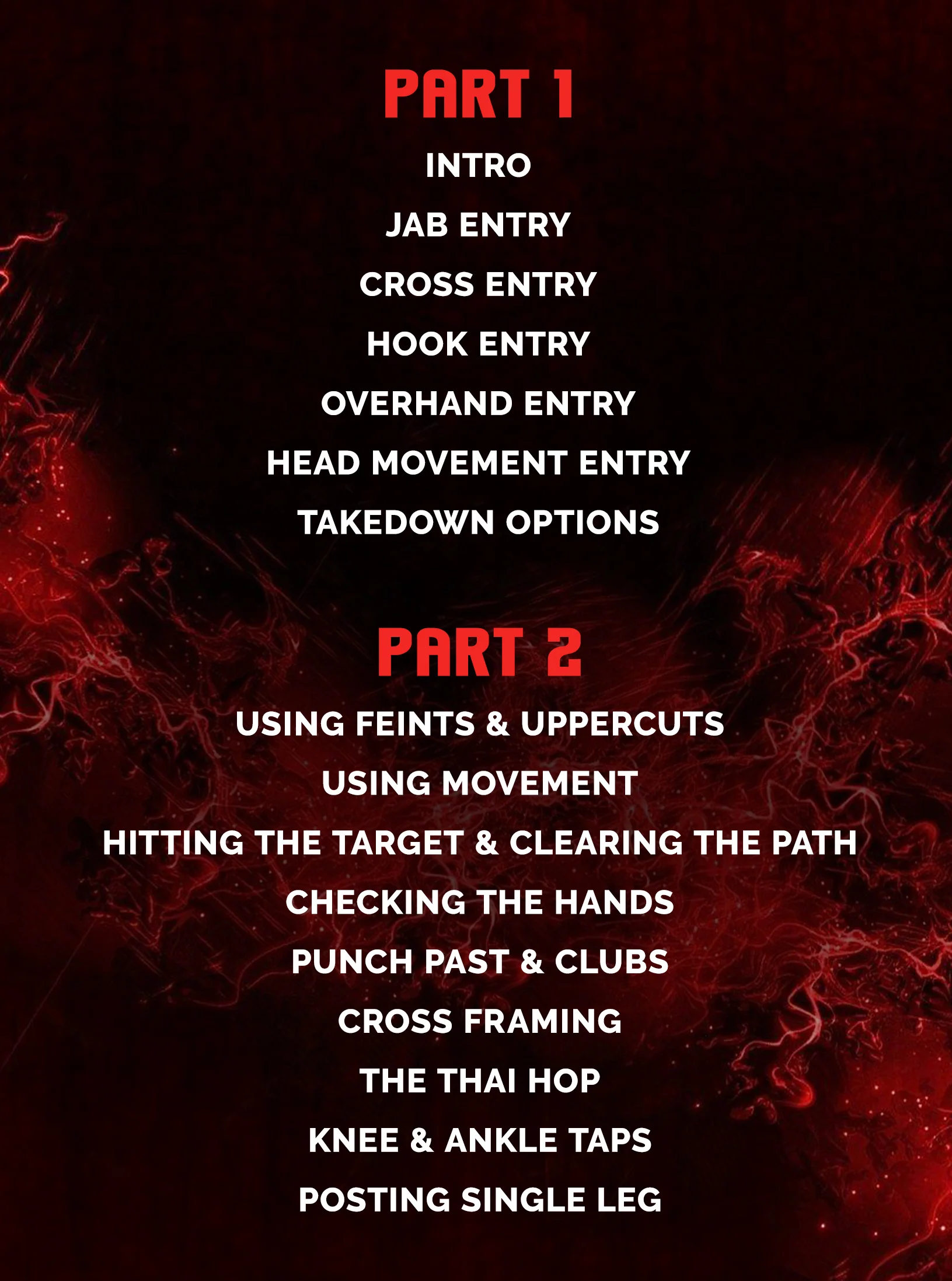 Shootboxing Fundamentals by Mick Hall - Image 2