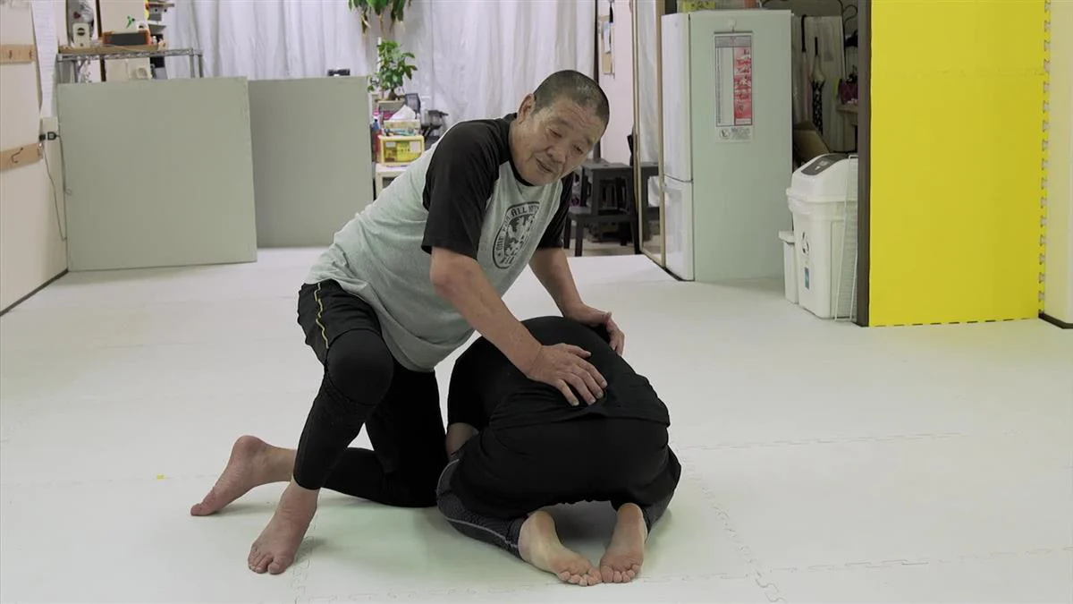 Shoot Fighting Submission Systems by Yoshiaki Fujiwara - Image 5