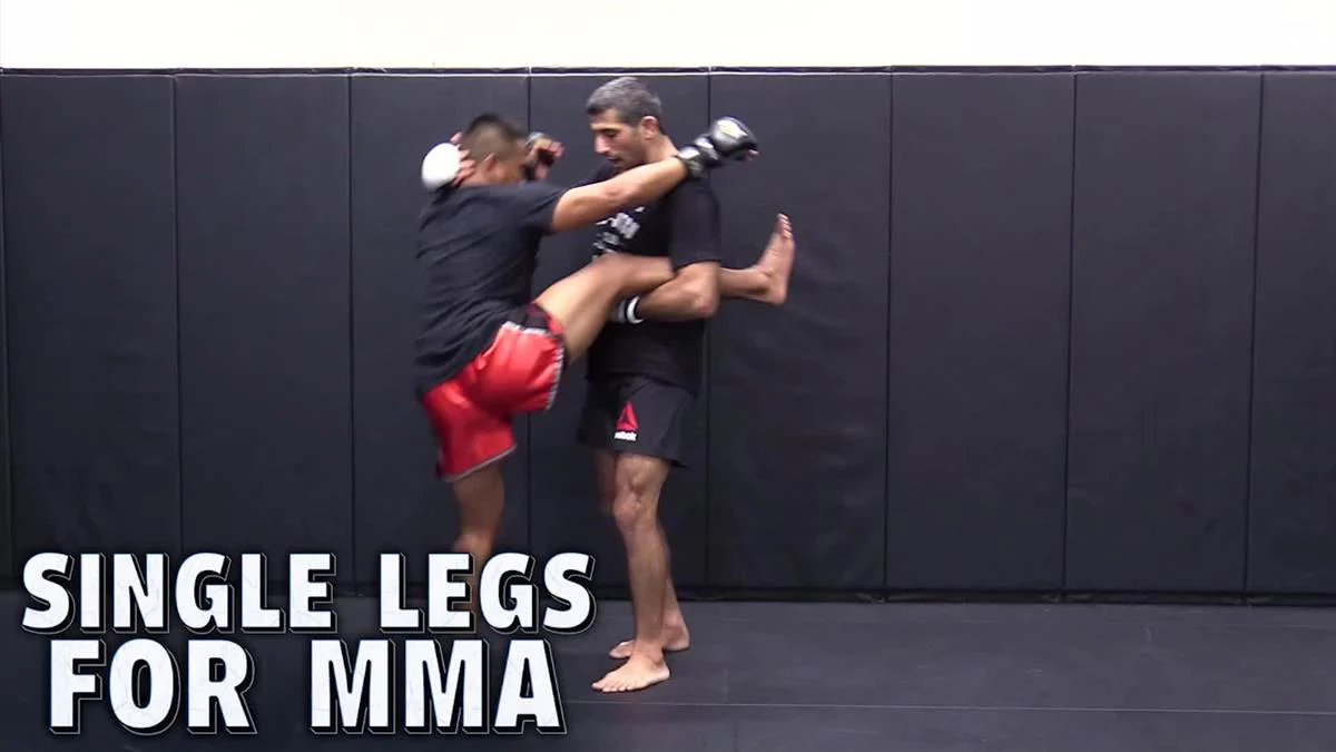 Single Legs For MMA by Beneil Dariush - Image 3