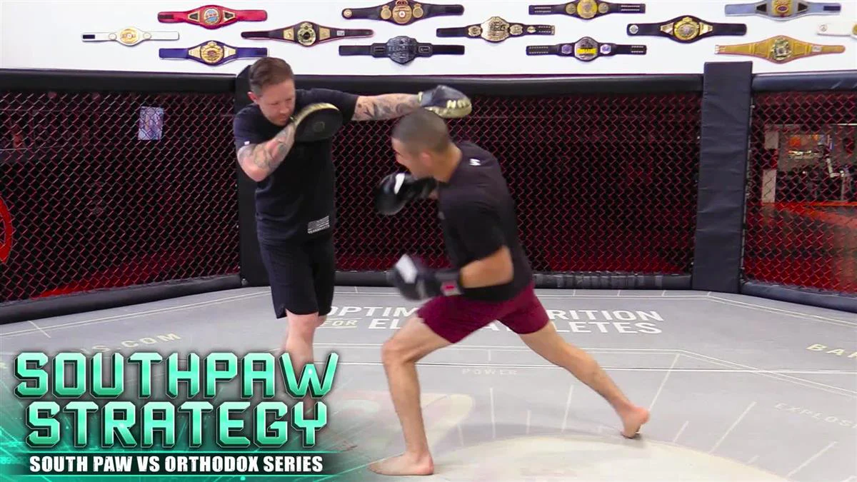Southpaw Strategy by Brandon Gibson - Image 3