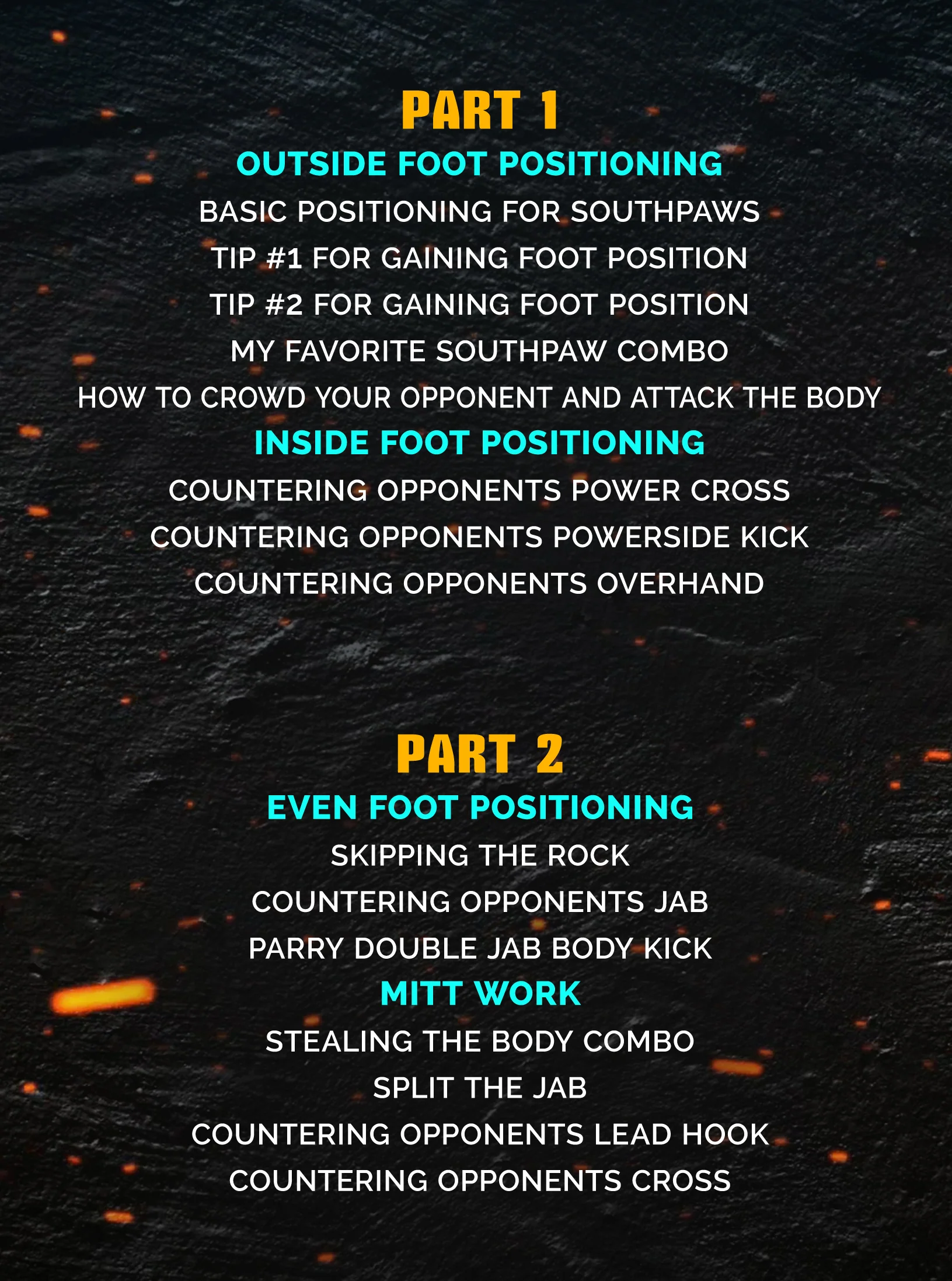 Southpaw Striking Fundamentals by Chris Camozzi - Image 2