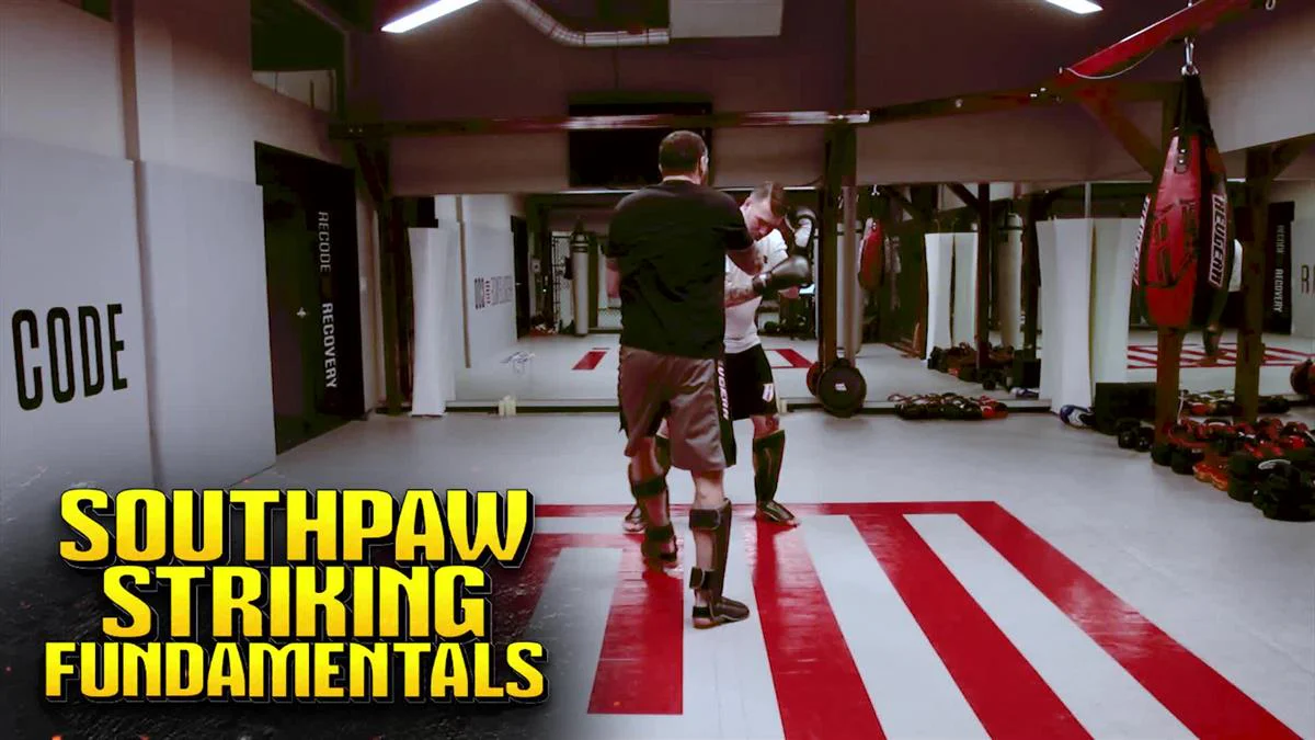 Southpaw Striking Fundamentals by Chris Camozzi - Image 3