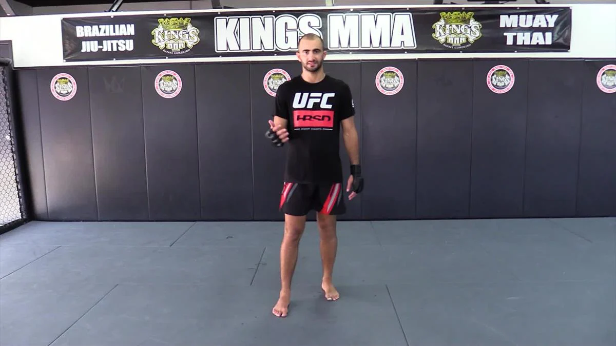 Spicing Up Striking With The Giga Step by Giga Chikadze and Barry Robinson - Image 4