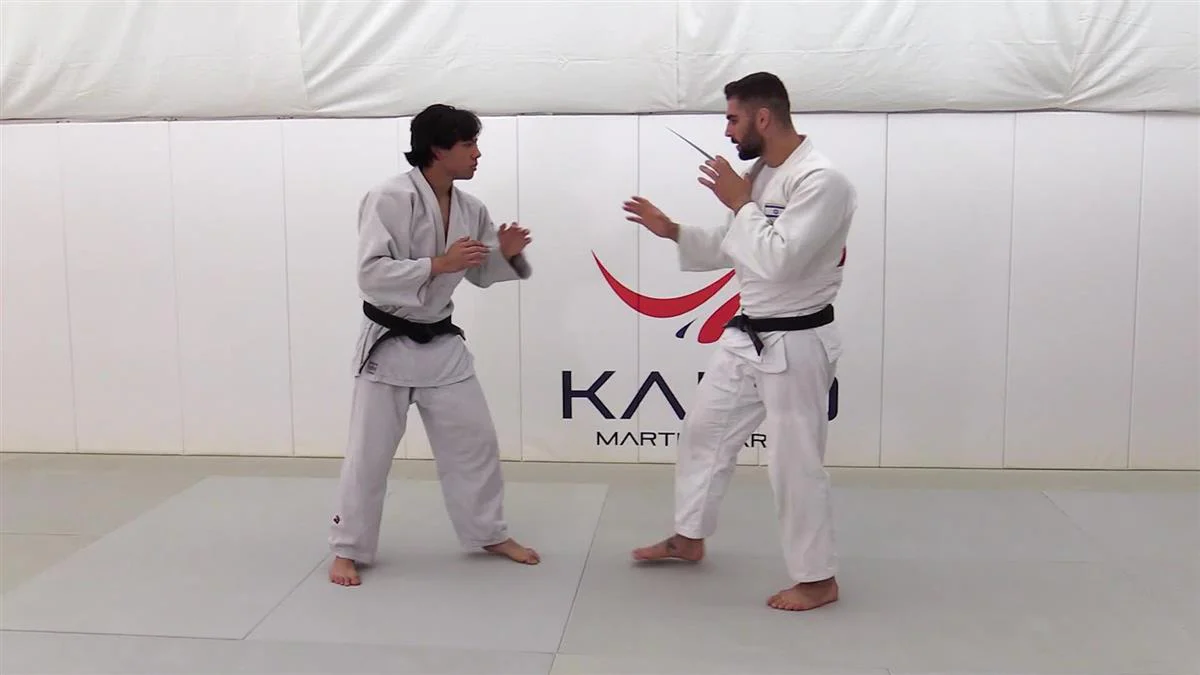Straight Lapel System For Judo by Peter Paltchik - Image 3