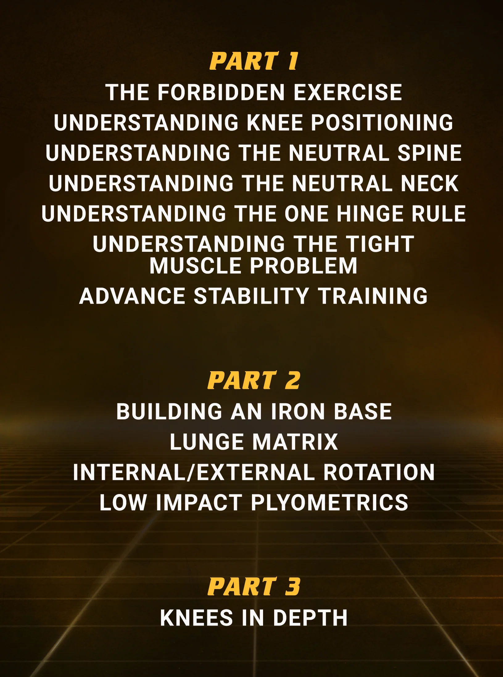 Strong and Stable Knees For Life by Firas Zahabi - Image 2