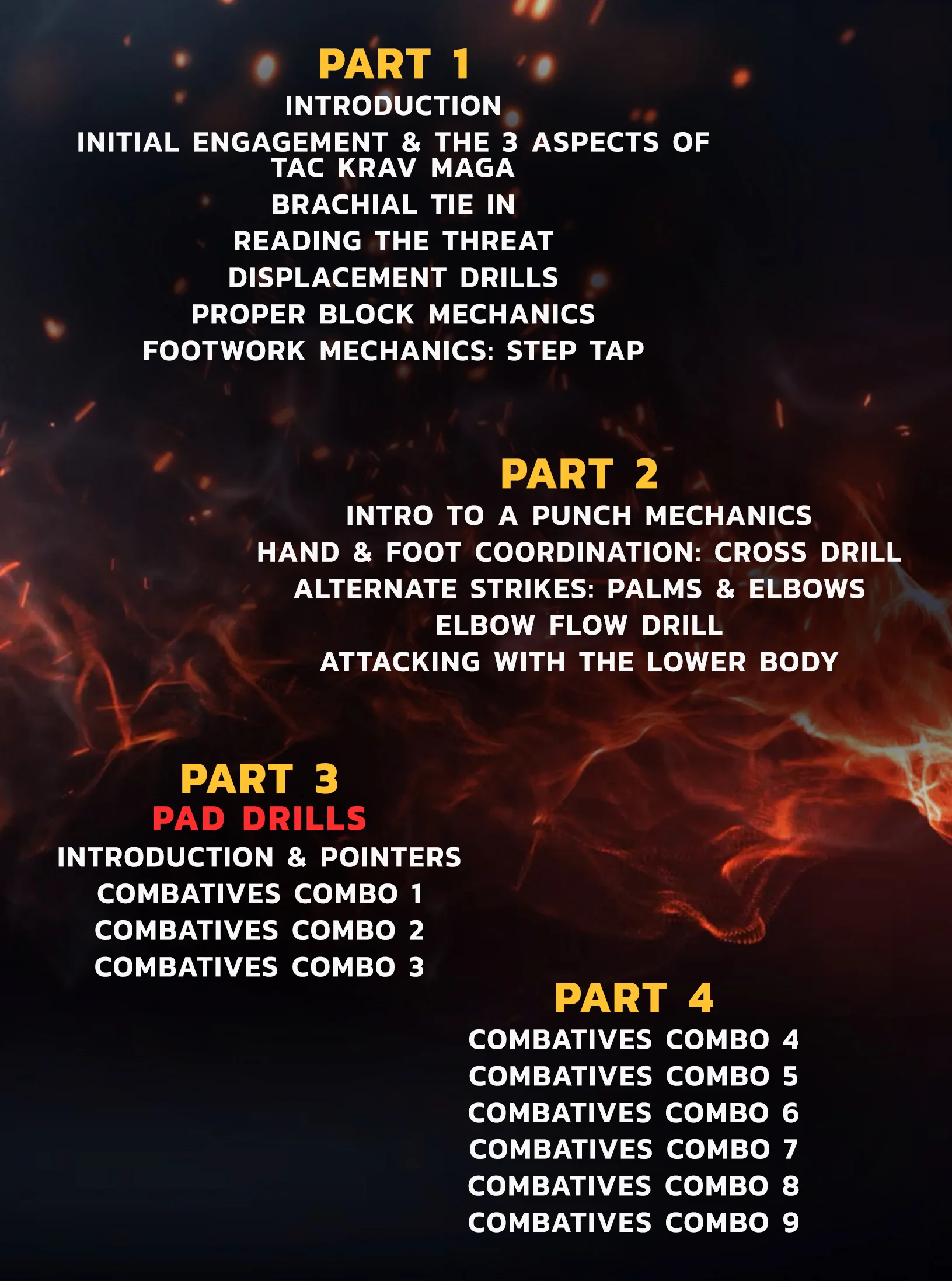 Tac Krav Maga: Combatives Training by Daniel Longoria - Image 2