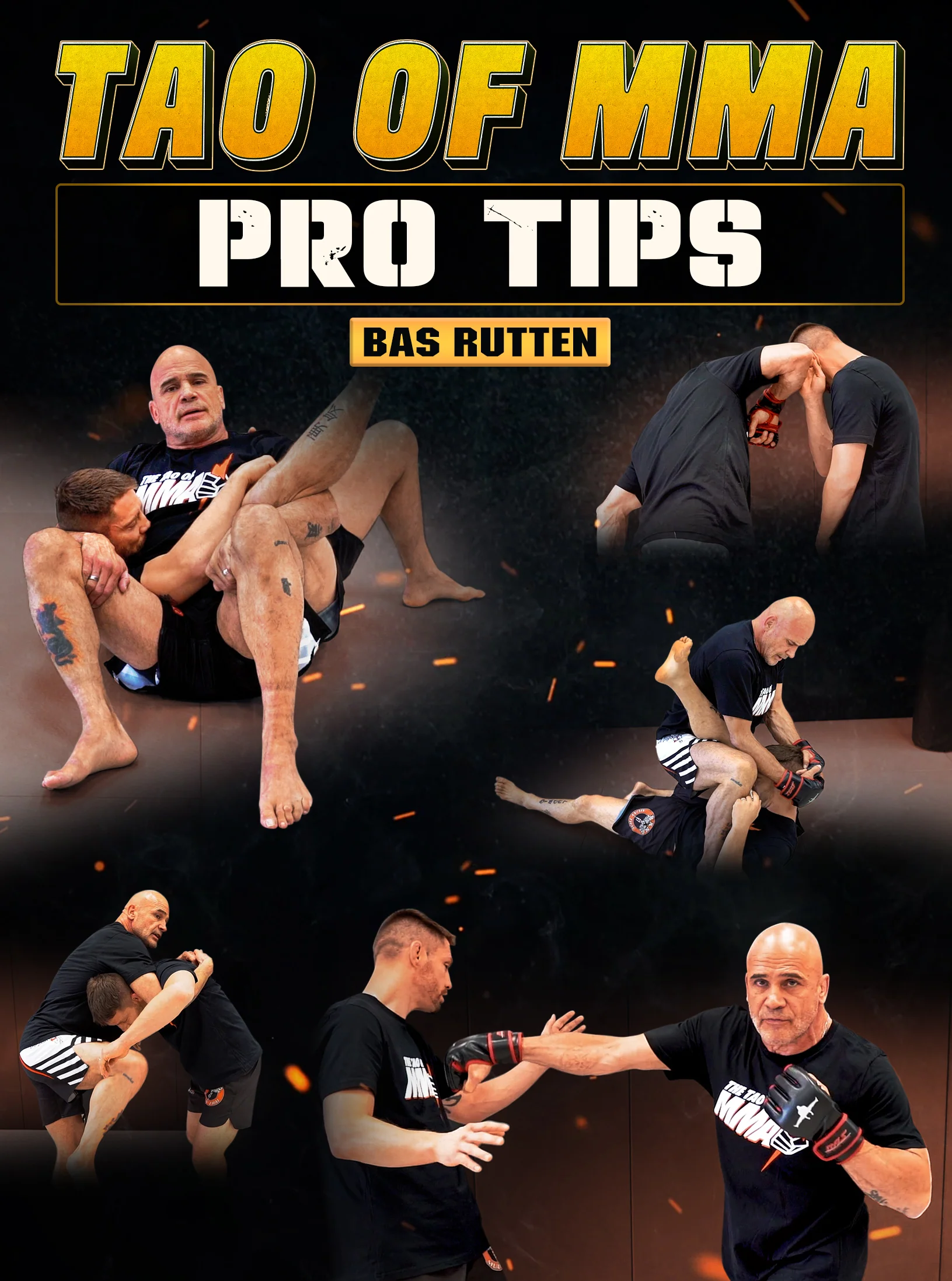 Tao of MMA: Pro Tips by Bas Rutten