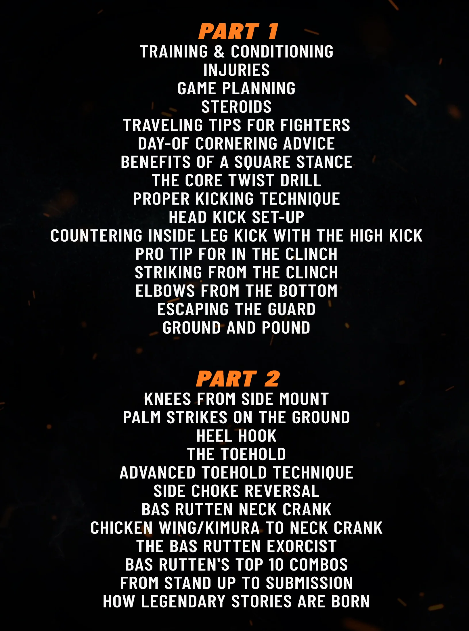 Tao of MMA: Pro Tips by Bas Rutten - Image 2