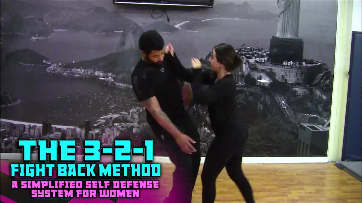 The 3-2-1 Fight Back Method by Ante Dzolic - Image 3