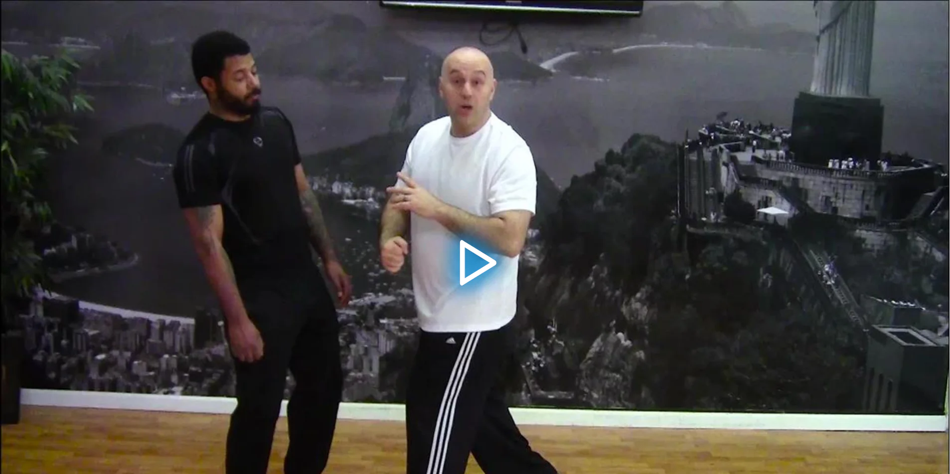 The 3-2-1 Fight Back Method by Ante Dzolic - Image 4