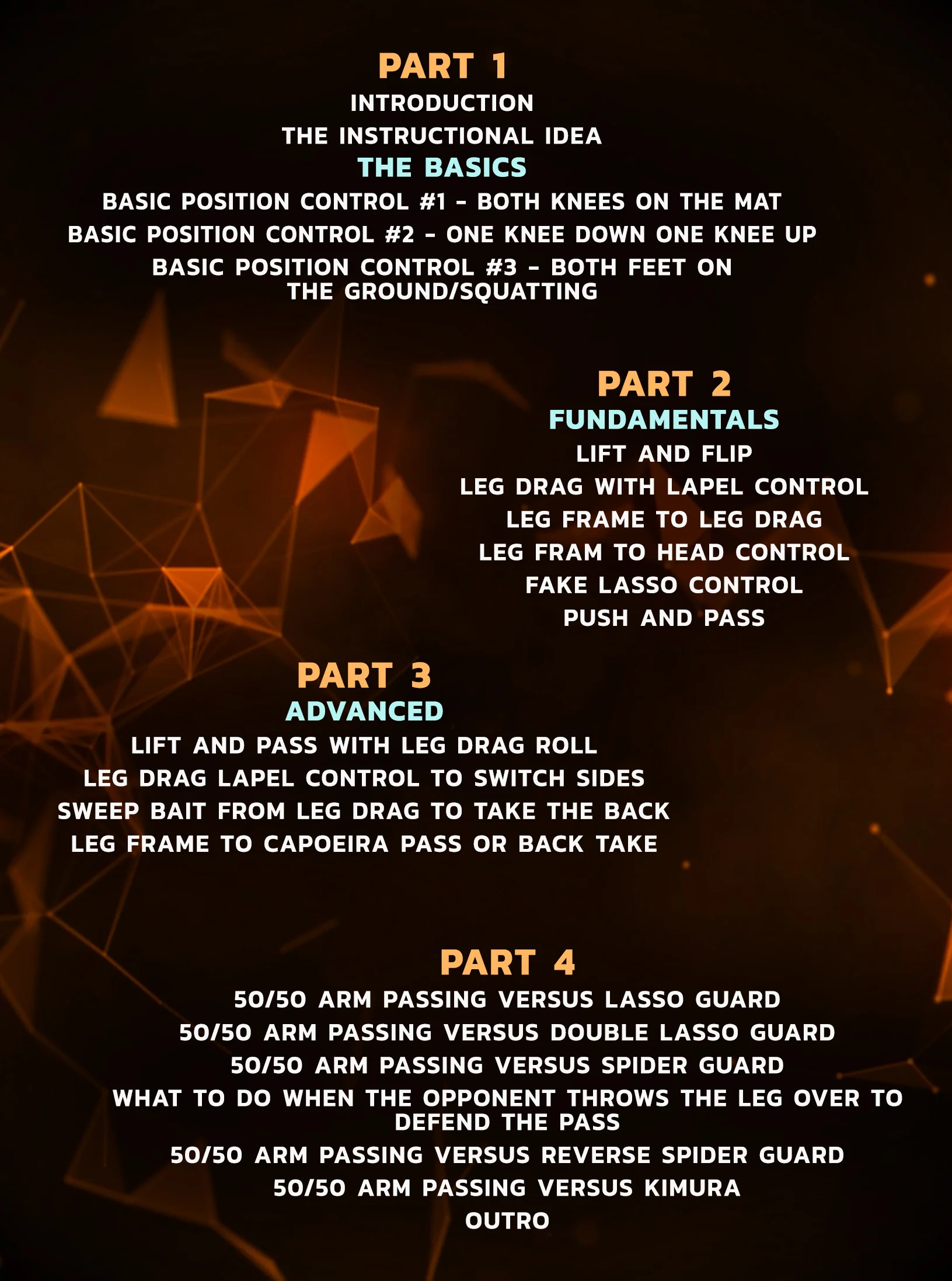 The 50/50 Arm Passing System: Gi by Leo Vieira - Image 2