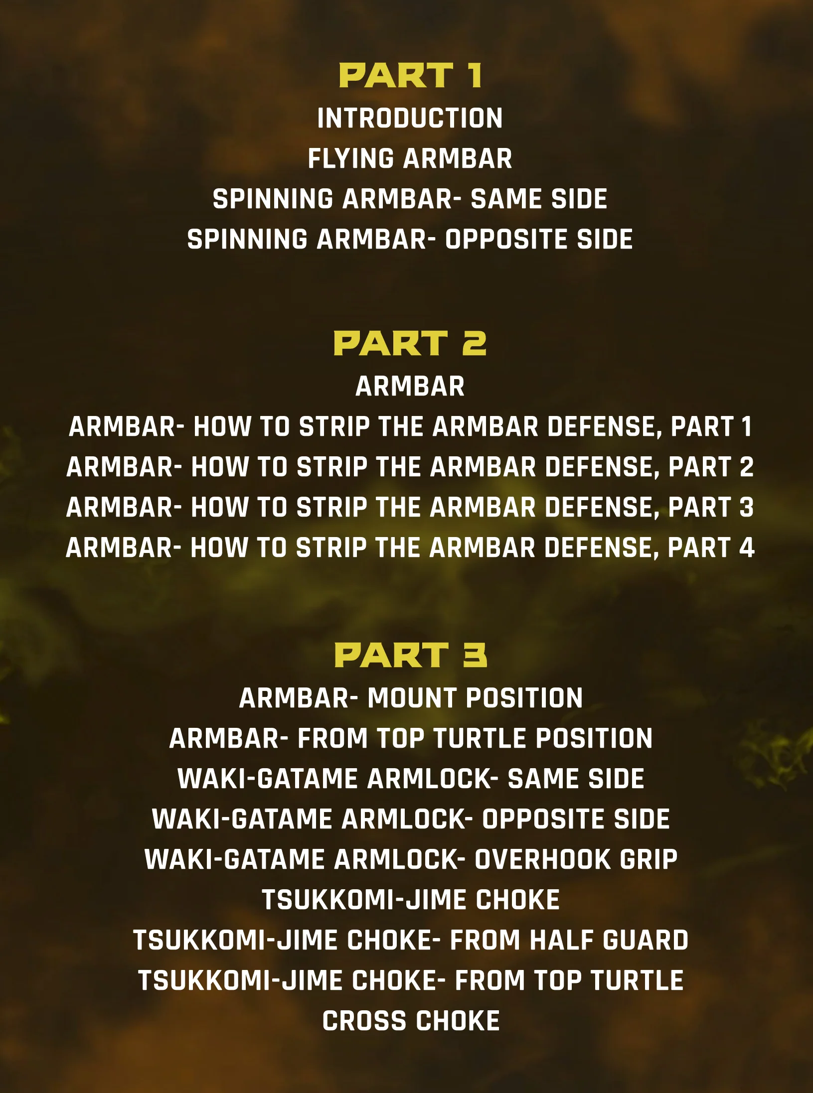 The Aoki Arm Bar System by Shinya Aoki - Image 2