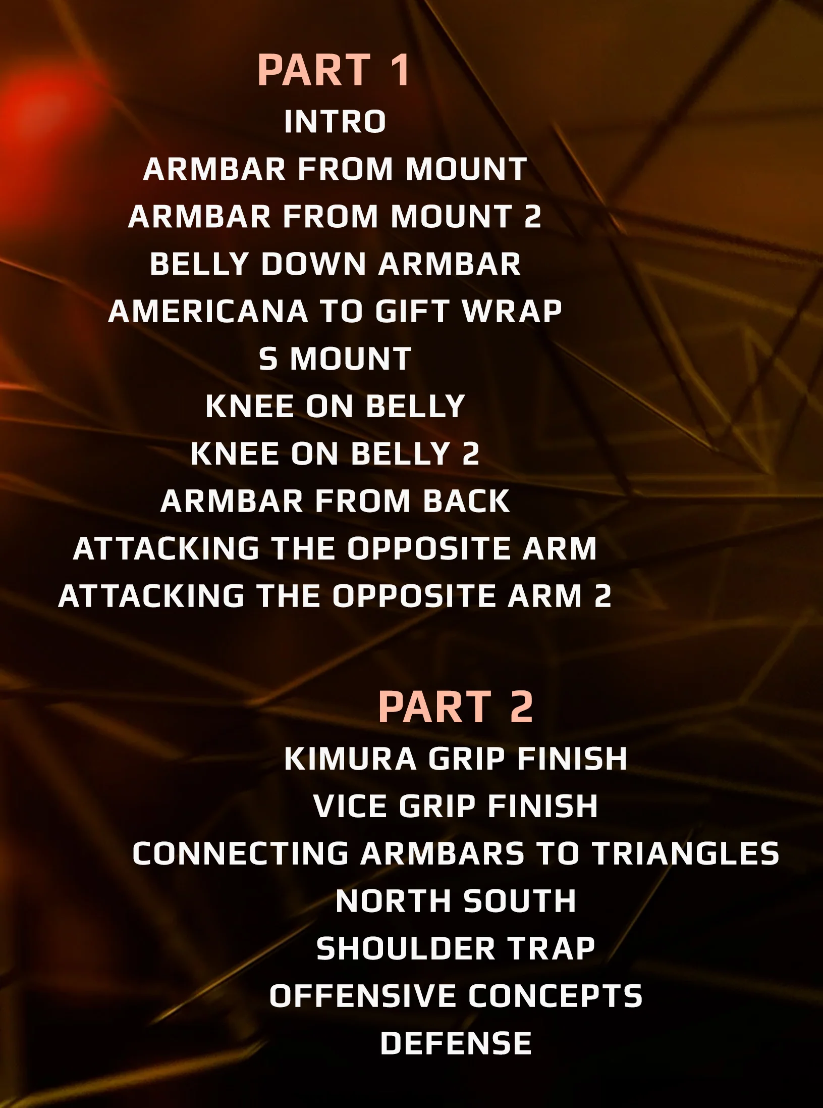 The Armbar Assault Manual by Joel Bouhey - Image 2