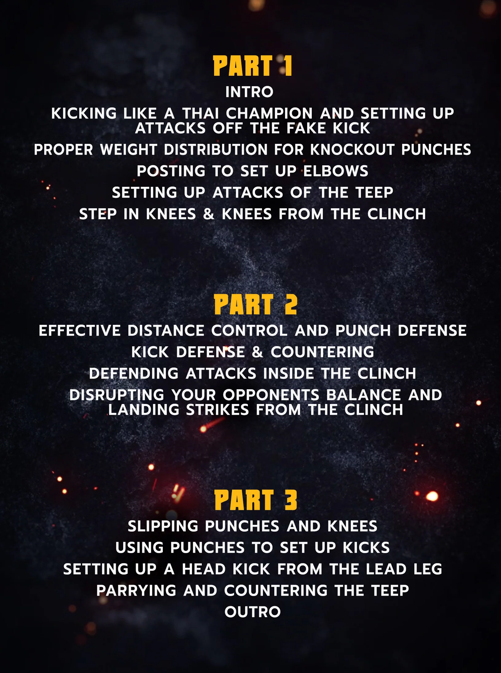 The Art of Becoming a Muay Thai Champion by Petchdam - Image 2