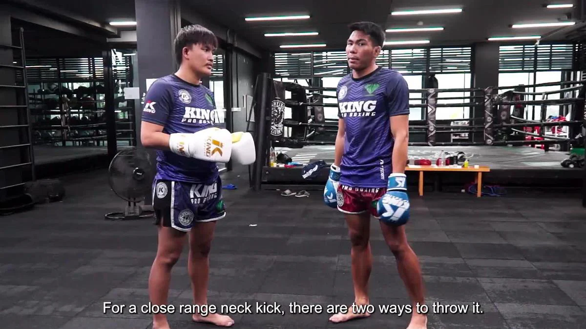 The Art of Becoming a Muay Thai Champion by Petchdam - Image 5