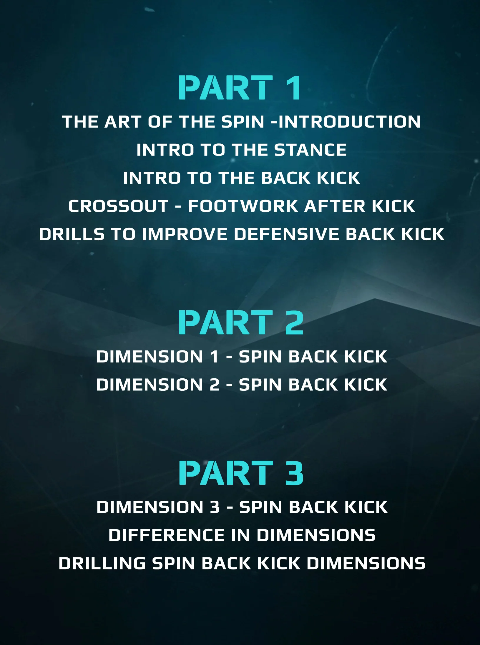 The Art of The Spin Kick Volume 1 by Raymond Daniels - Image 2