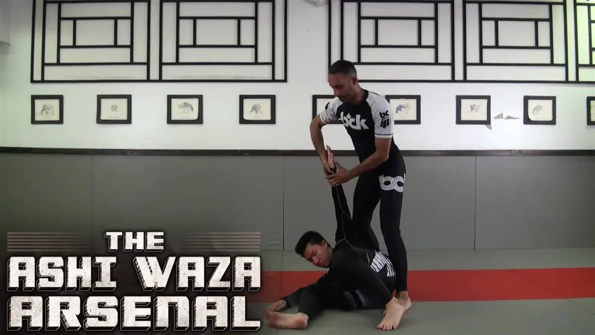 The Ashi Waza Arsenal by Sonny Sahota - Image 3
