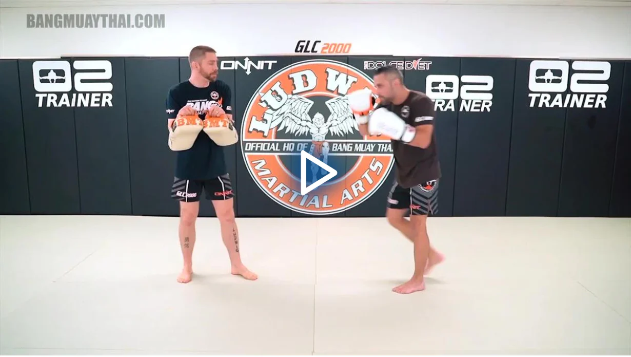 The Basics Of Kickboxing by Duane Ludwig - Image 5