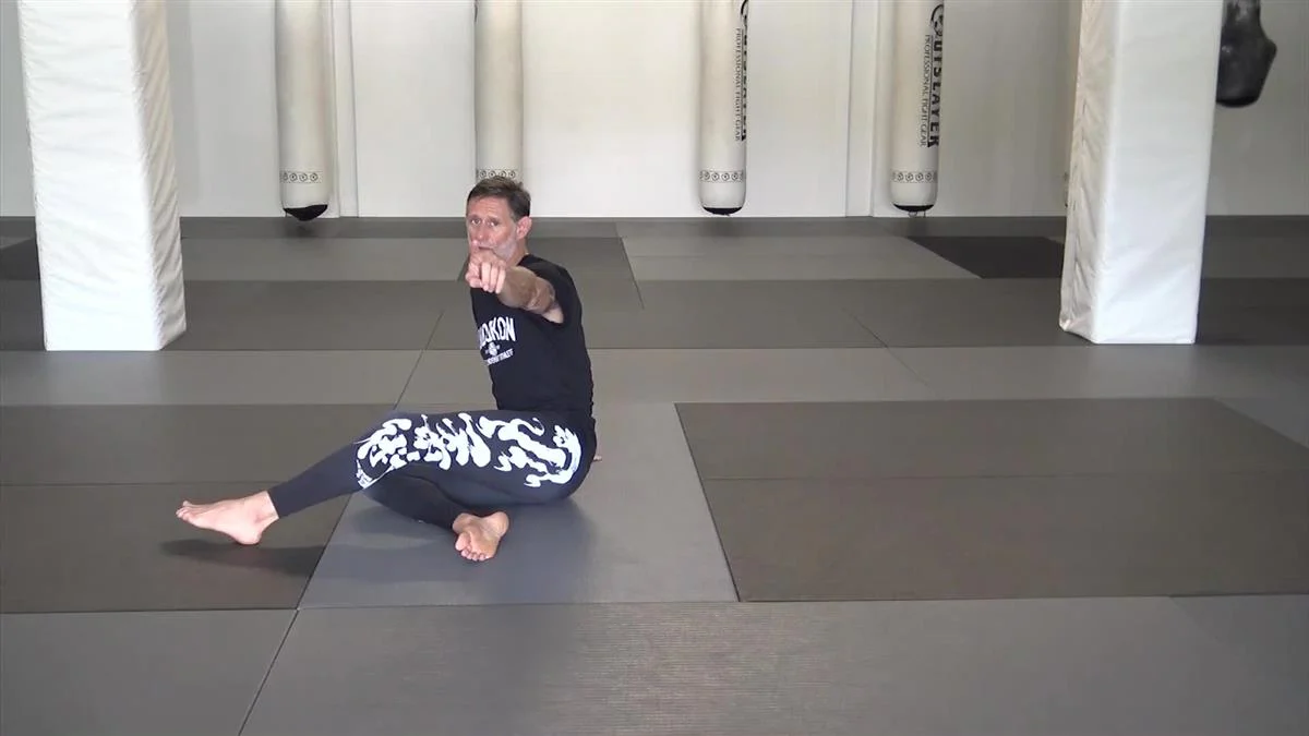 The Budokon Mobility System by Cameron Shayne and Xande Ribeiro - Image 3