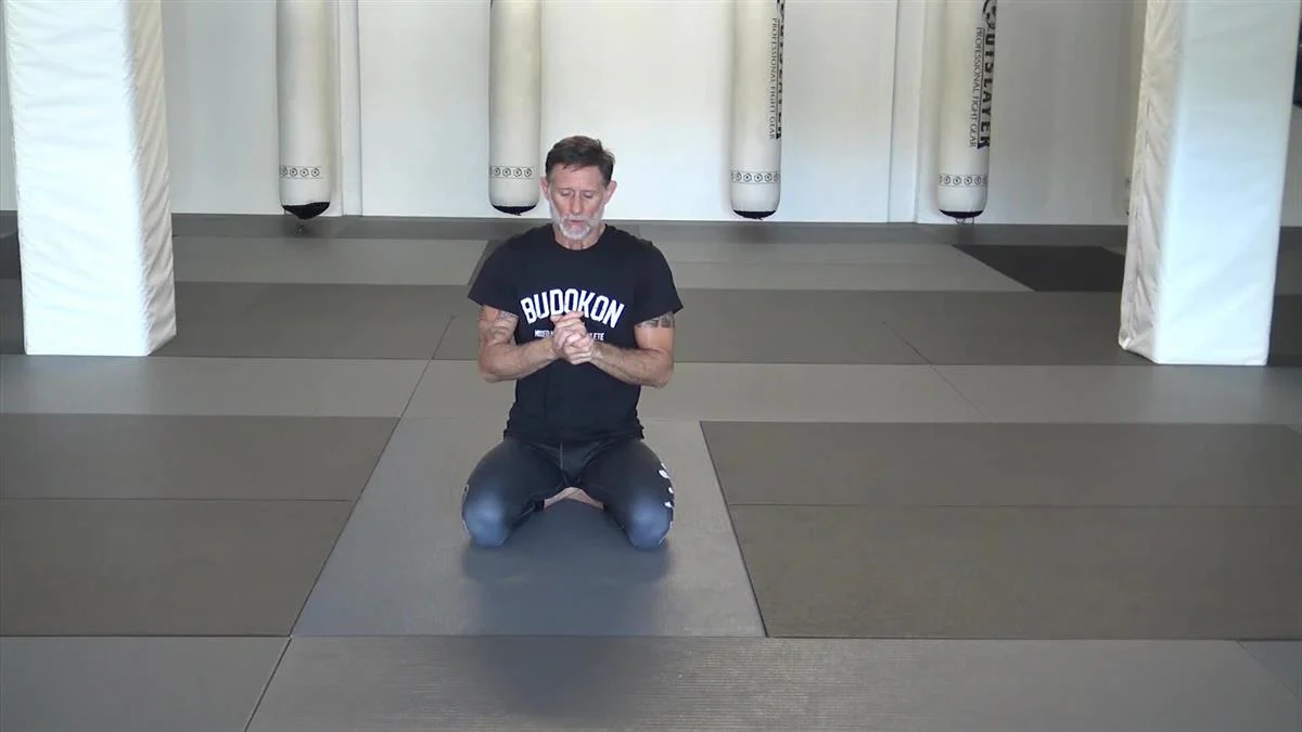 The Budokon Mobility System by Cameron Shayne and Xande Ribeiro - Image 4
