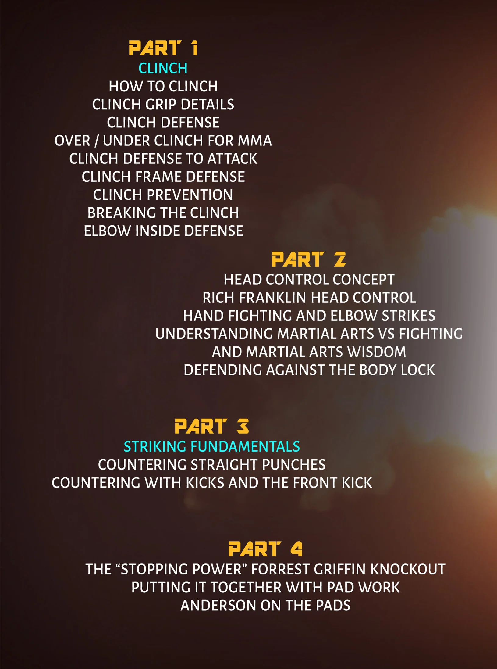 The Comprehensive Strikers Guide by Anderson Silva - Image 2