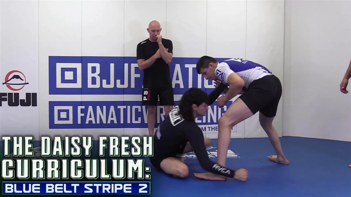 The Daisy Fresh Curriculum: Blue Belt No Gi Stripe 2 by Heath Pedigo - Image 3