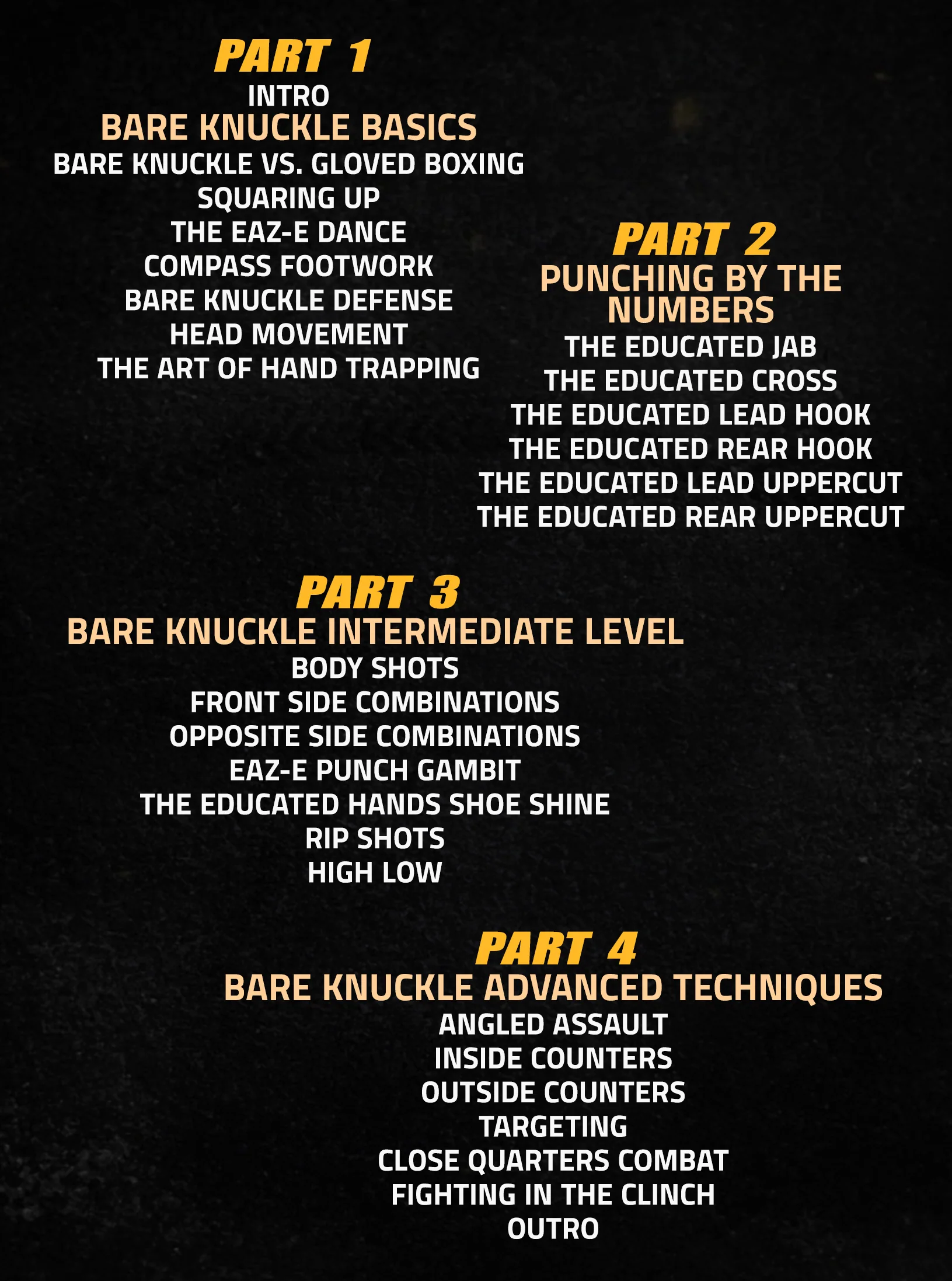The Educated Hands Bare Knuckle Boxing System by Reggie Barnett Jr. - Image 2