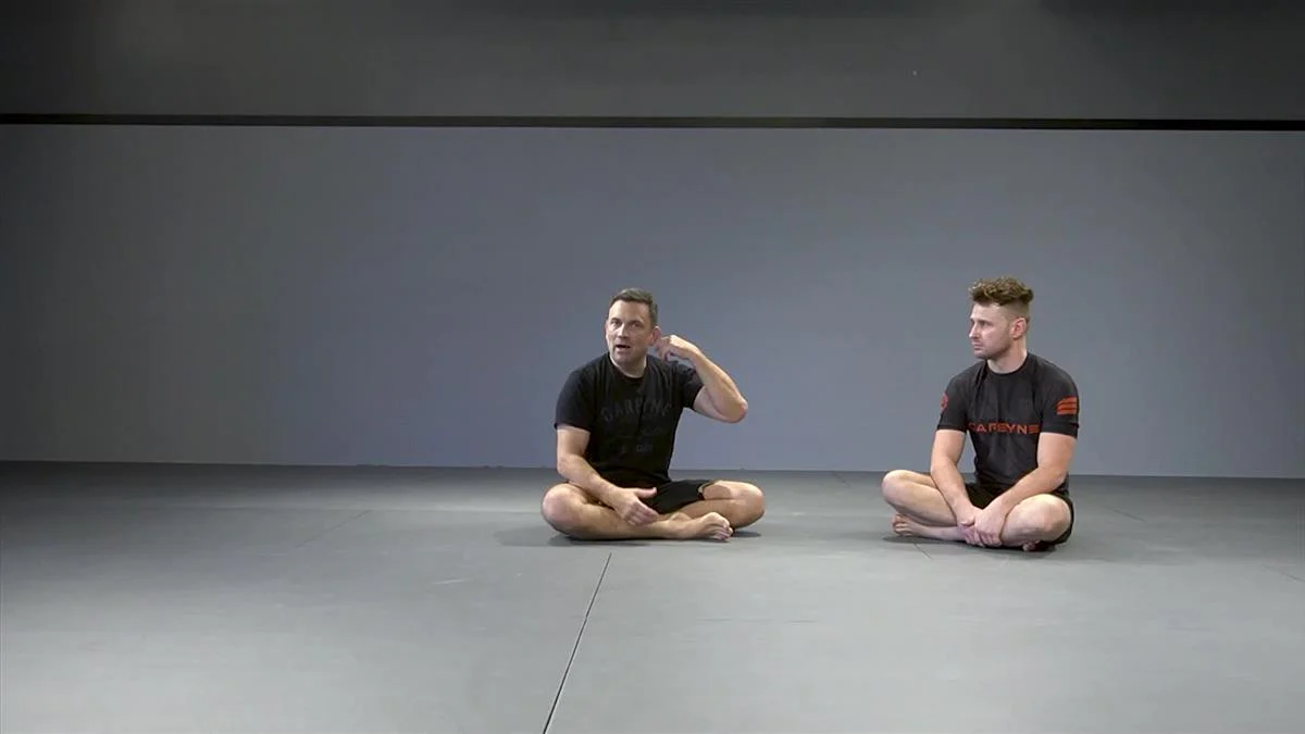The Essential Shin To Shin System by Shawn Williams - Image 5