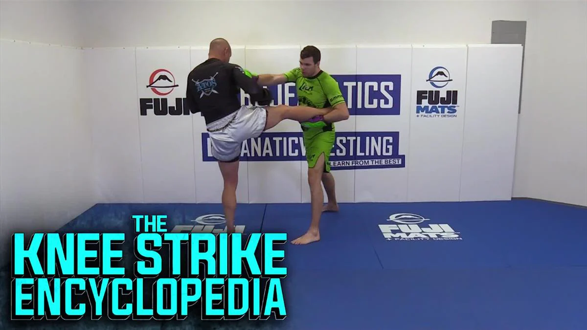 The Knee Strike Encyclopedia by Artem Levin - Image 3