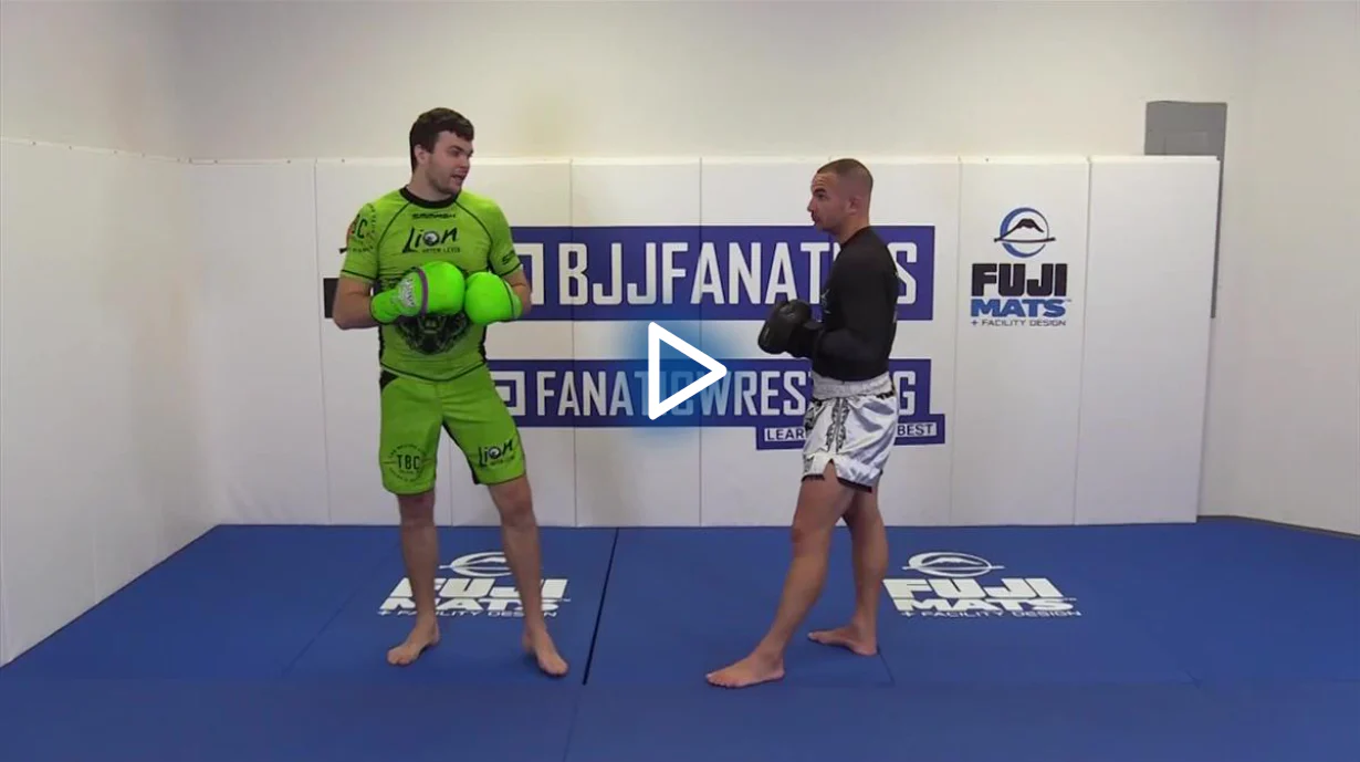 The Knee Strike Encyclopedia by Artem Levin - Image 4