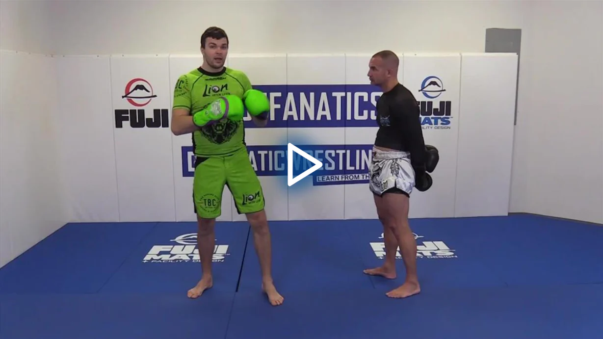 The Knee Strike Encyclopedia by Artem Levin - Image 5