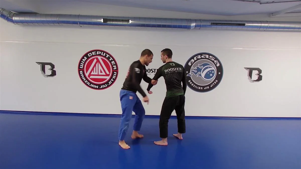 The Mirroring Principle: Fundamental Self Defense by Wim Deputter - Image 3