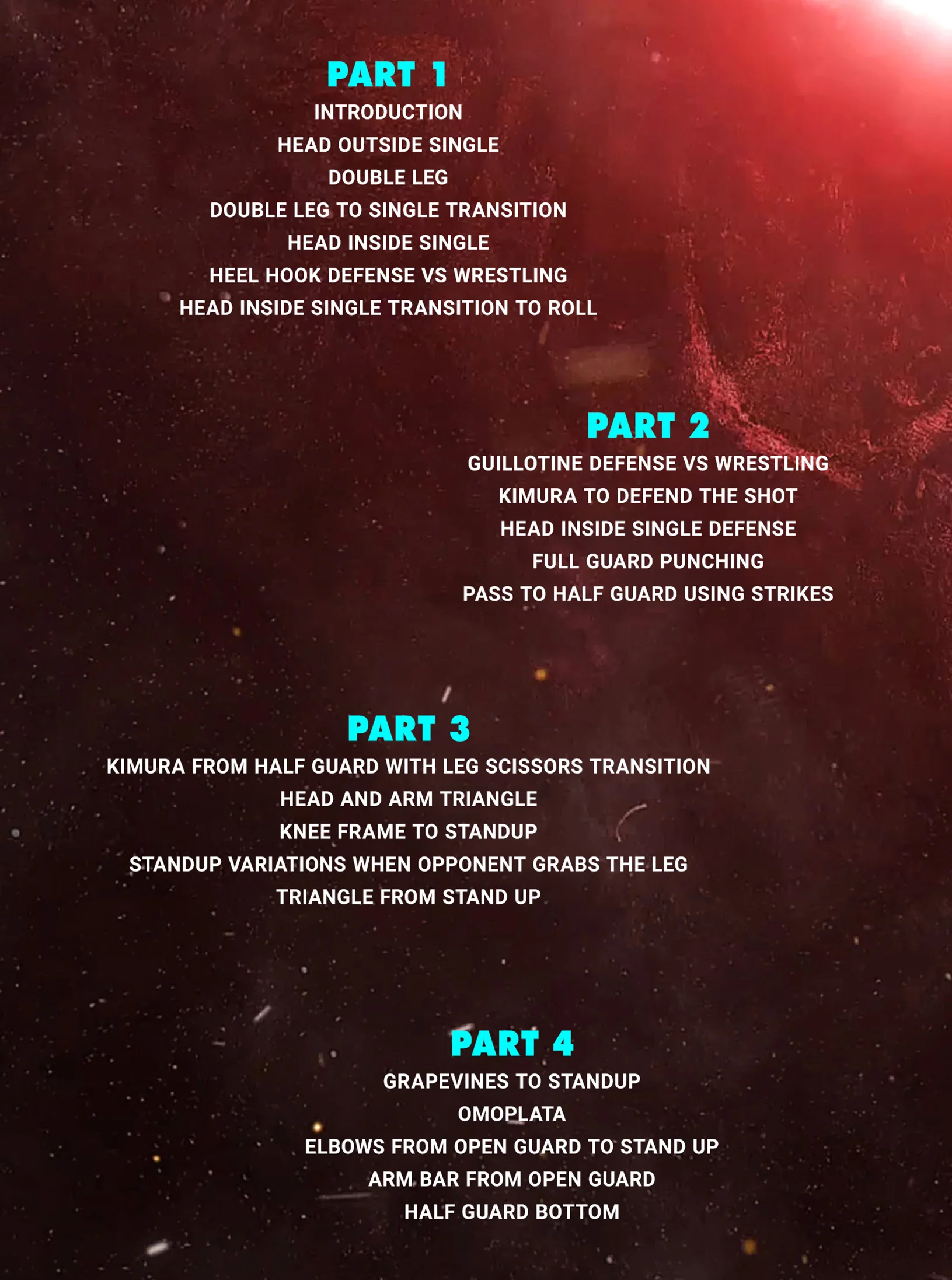 The MMA Ground Game Blueprint by Din Thomas - Image 2