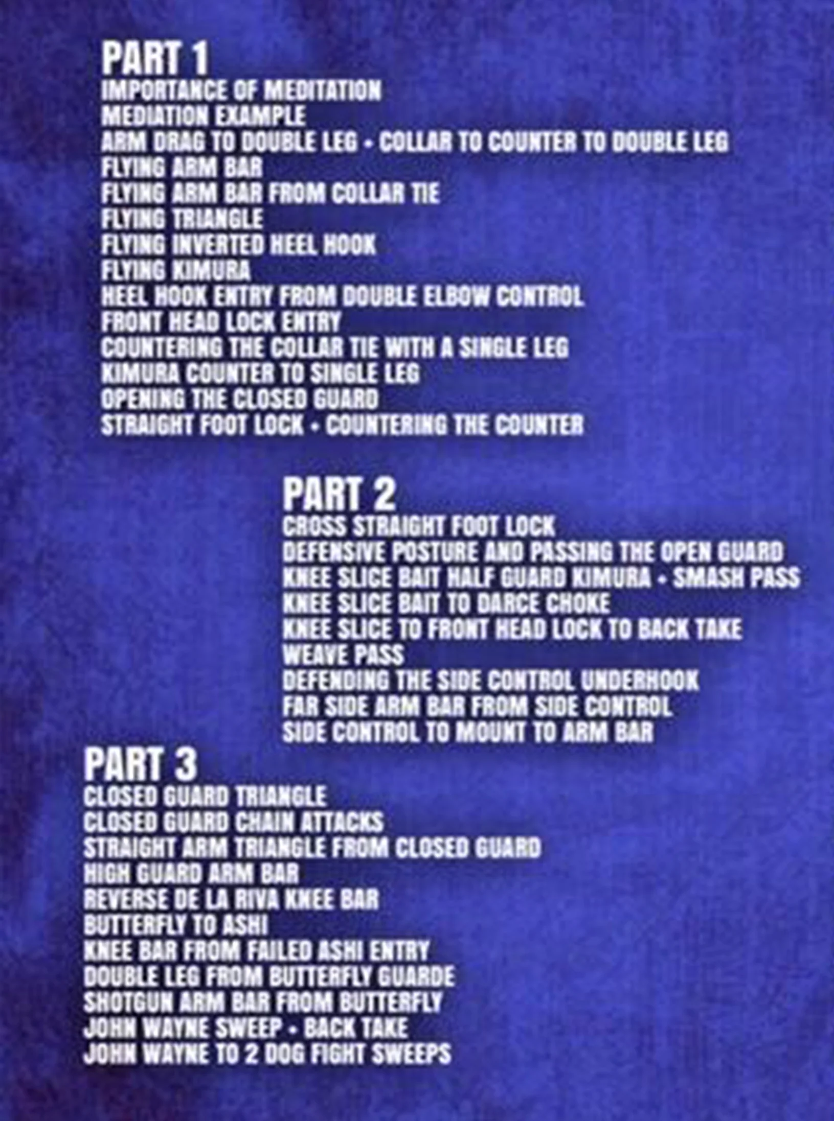 The No Gi Formula: For Masters Competitors by Mario Delgado - Image 2