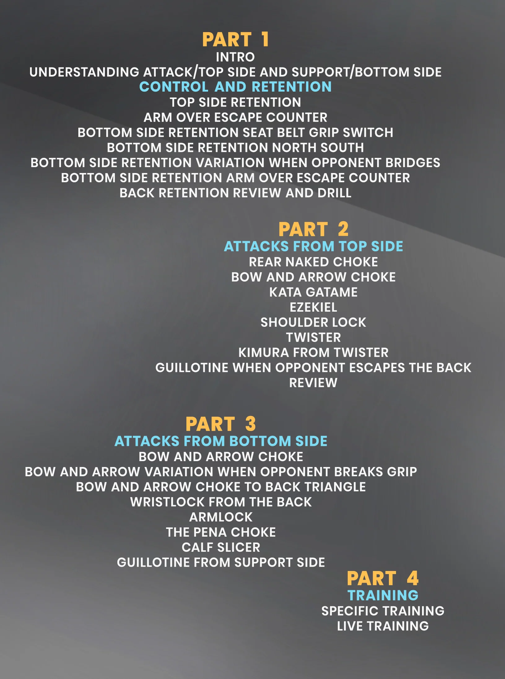 The Pena Back Attack System: Retention, Control, Submissions by Felipe Pena Preguica - Image 2