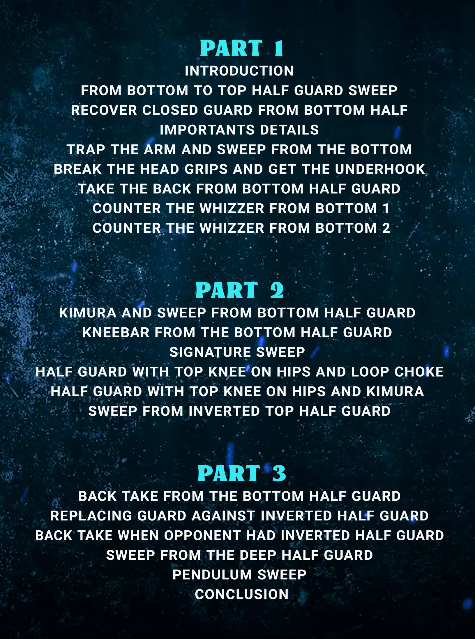 The Roger Gracie Half Guard System by Roger Gracie - Image 2