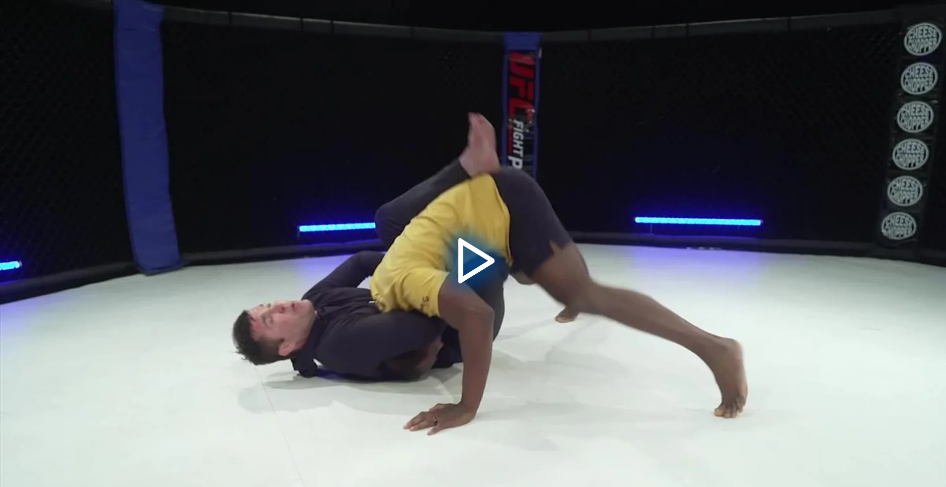 The Winning Fundamentals Of MMA by Chael Sonnen - Image 4