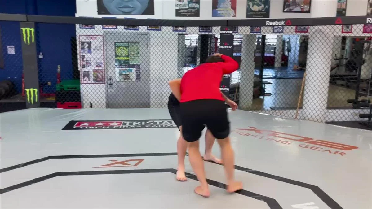 Wrestling Made Easy by Firas Zahabi - Image 4