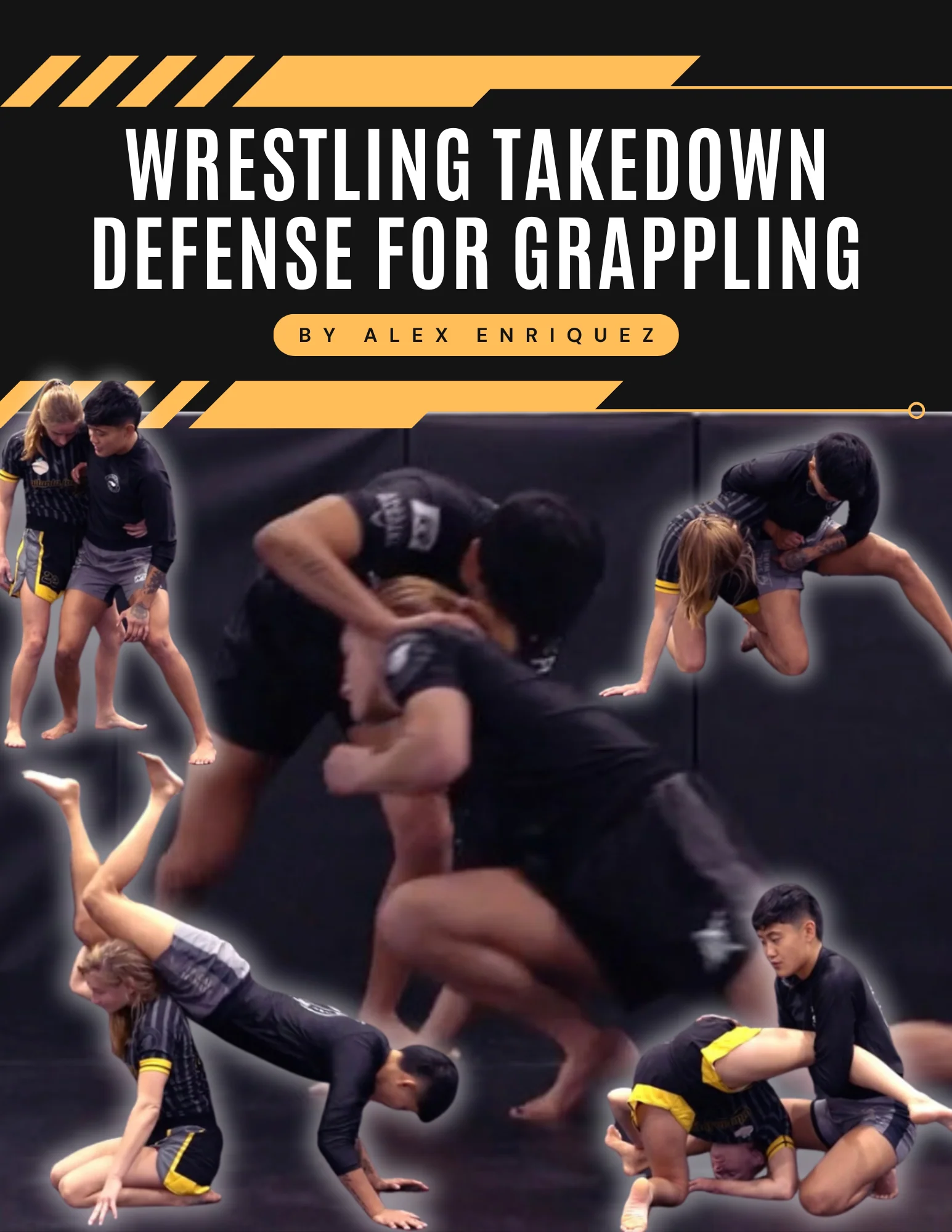 Wrestling Takedown Defense For Grappling by Alex Enriquez